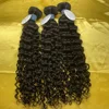 Italian curl-1pc/100g