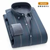 Striscia grigio verde-m2316