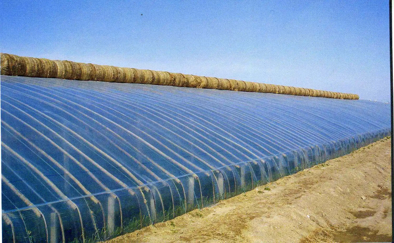 Uv Resistant Sheet for Small Garden Greenhouse Dubai 6mm Bc-polycarbonate Roof 15mm Polycarbonate Sheets