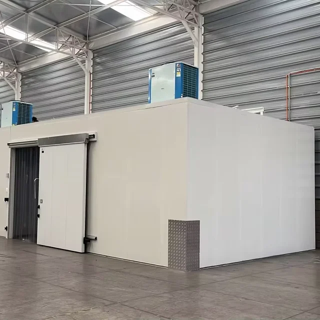 Factory price cold room storage walk in cooler with condensing unit