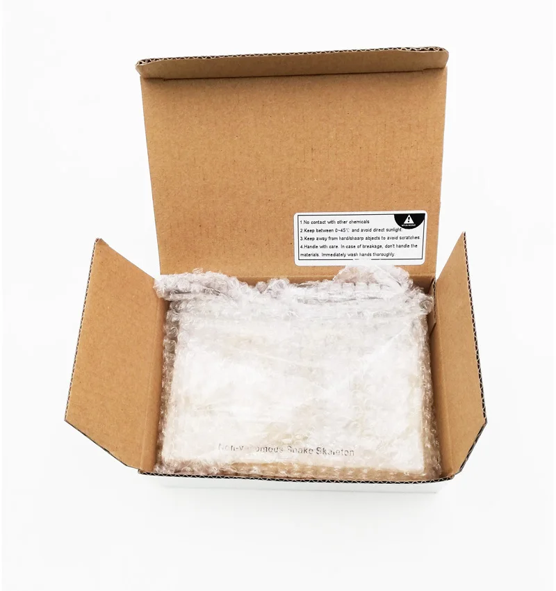 Gelsonlab HSBS-006 Educational Non Venomous Snake Skeleton Embedded Biological Specimens