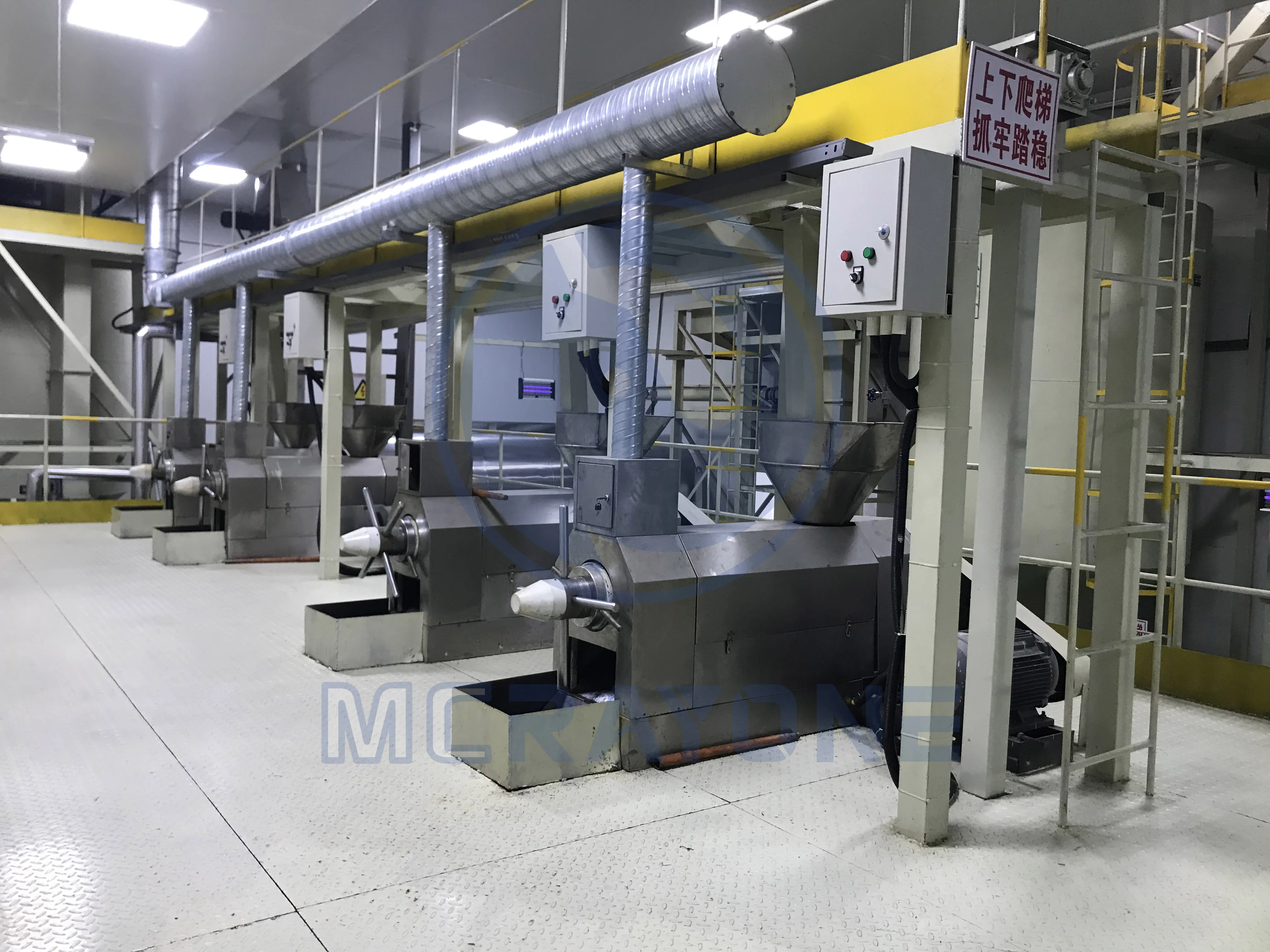 Avocado Oil Processing Machine Oil Press Machine Price Olive Oil Making Machine