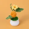 pumpkin potted