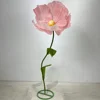 สีชมพู