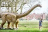 Diplodocus