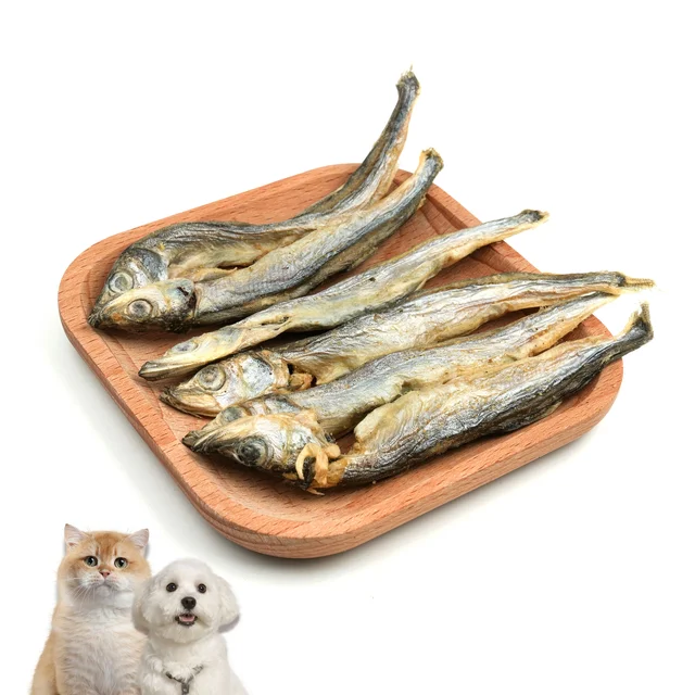 Factory Supply Rich in Deep Sea Fish Full Of Nutrition Freeze Dried Spring Fish Capelin Fish Cat Food