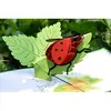 Ladybug Pop Up Card