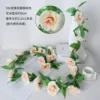 9-headed rose vine - champagne color