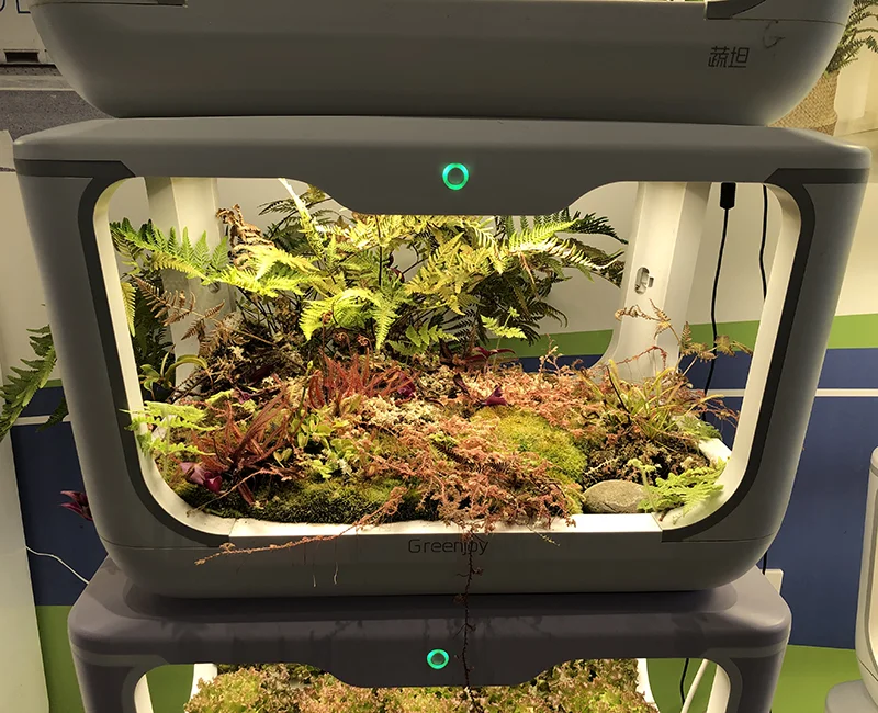 Mini greenhouse-23.png