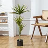 Dracaena fragrans de petite taille-105 cm
