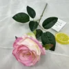 Rosa claro, rosa rojizo