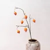 una rama de naranja