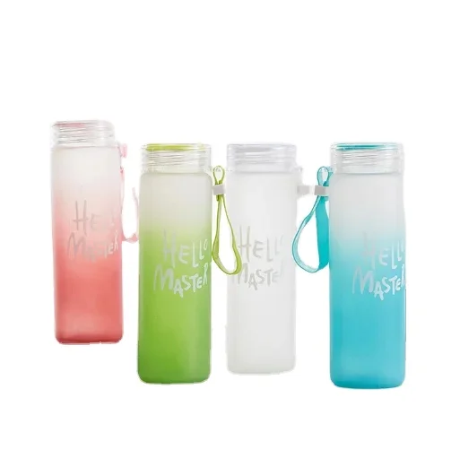 Portable Frosted Double Walled Glass Water Bottle Glass Drinking Cup ...