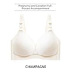 Champagne