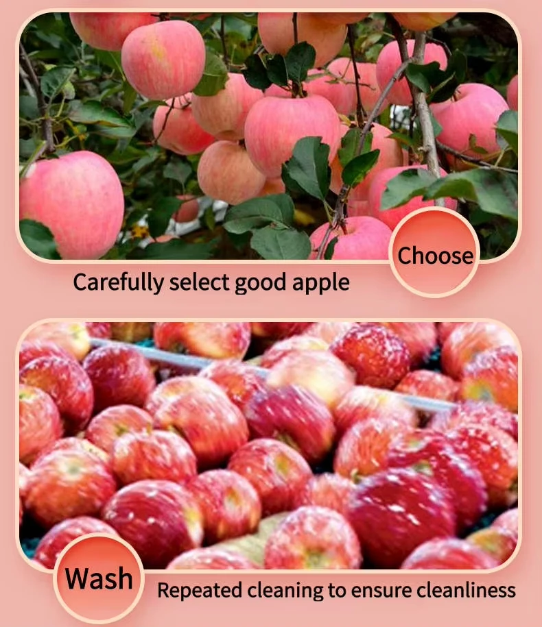 Freeze Dried Fuji Apple Slices Wholesale | Bulk Fuji Apple Supplier H701a512ec99f4a989aa427c544b4981e6