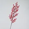 Fruit rouge à neuf fourches (70cm)
