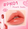 PK01