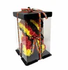 Allemagne Ours + Coffret Cadeau