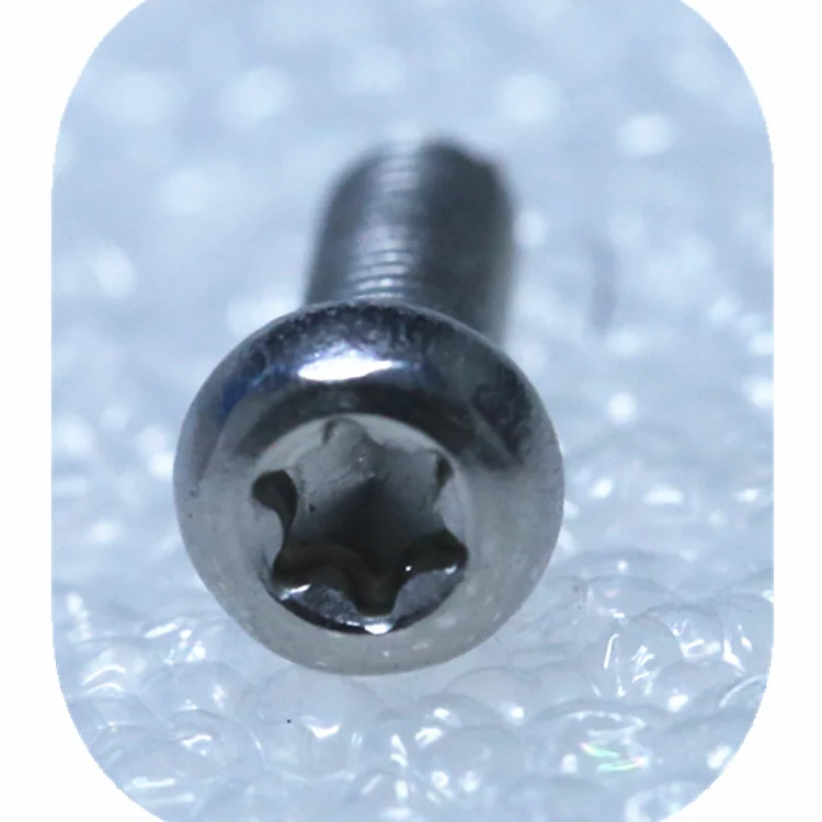 Vite a testa bombata Torx T25 in acciaio zincato 4.5x40 | Bronz Ticino Svizzera
