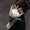 Green Queen of the Night