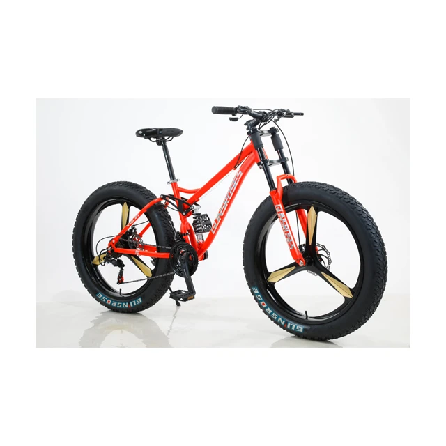 budget fat bike