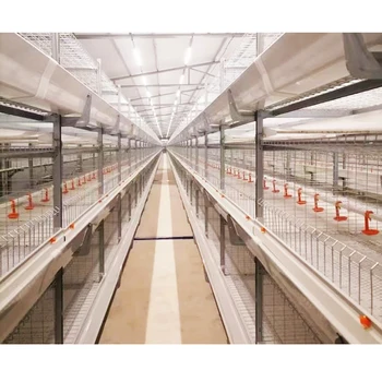 Automation Animal Husbandry Breeding Equipment Chicken Cages H Battery Poultry Farm Broiler Breeder Cages