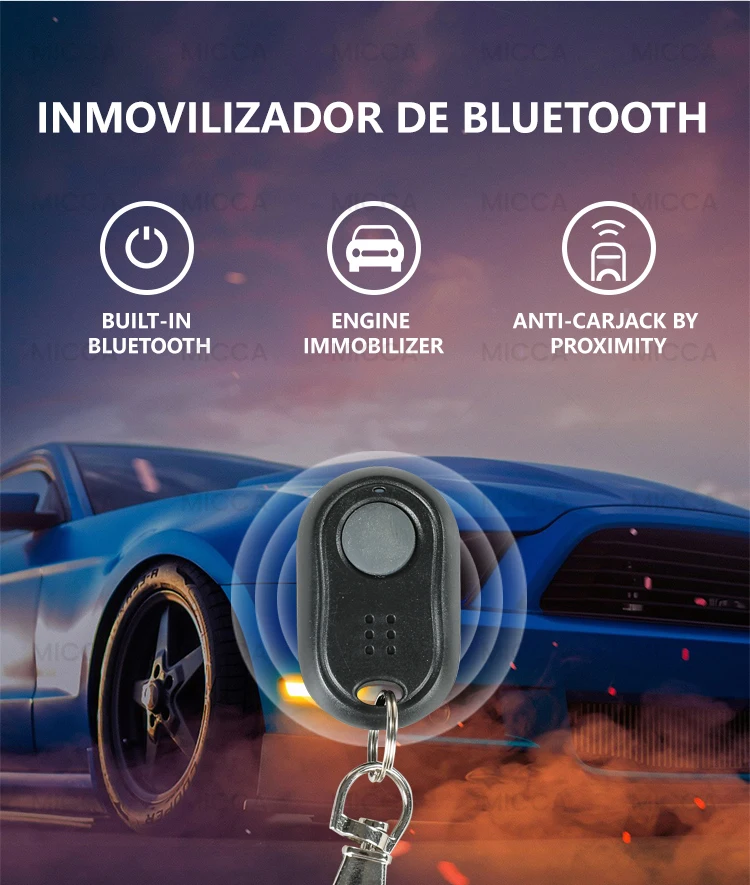 Car Immobilizer System Bypass Vibration - Secure Your Auto