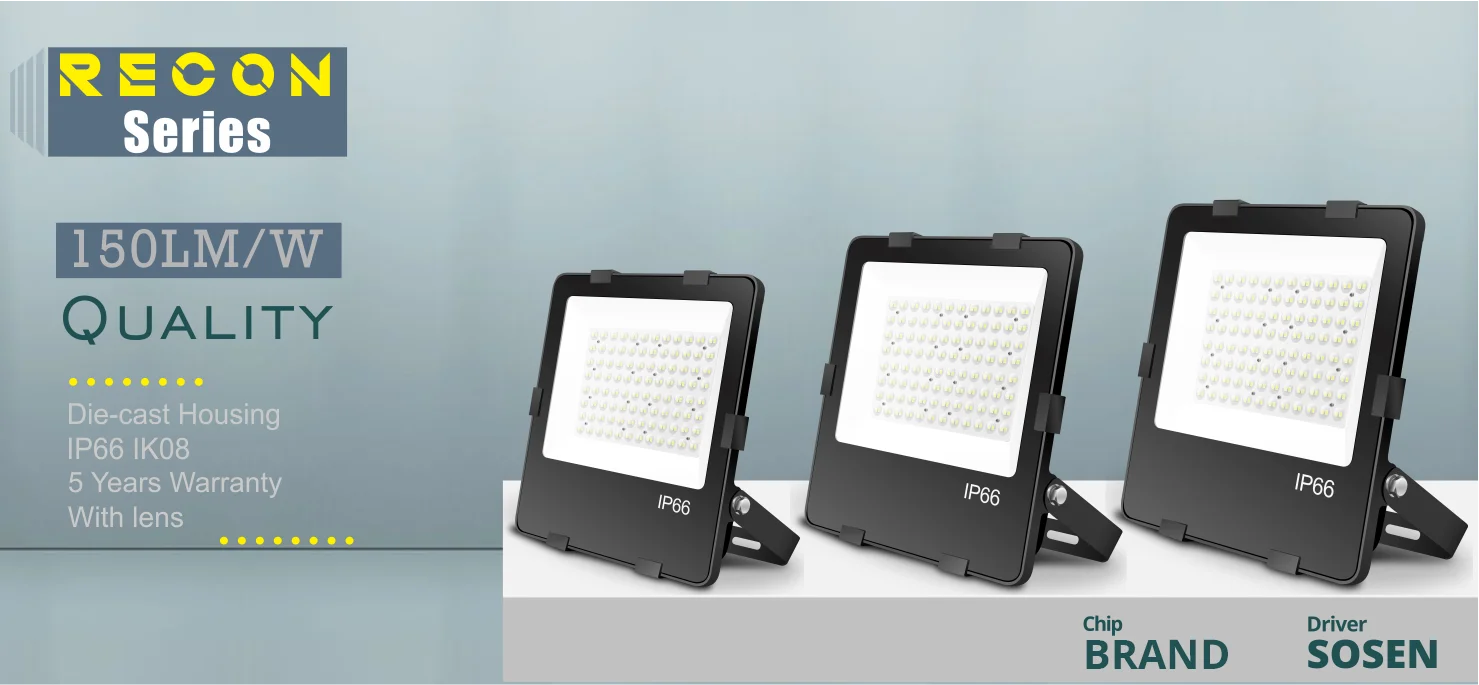 Ip66 Led Flood Light 50w 100w High Power Super Protector 150lm/w For