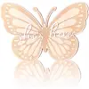 butterfly -1