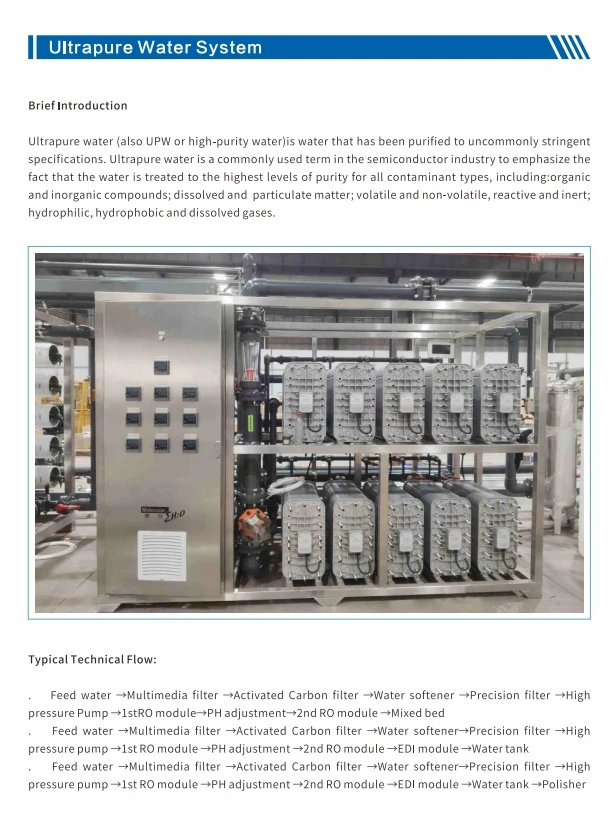 Industrial 500lph Reverse Osmosis Ro+edi Water System Deionized Water