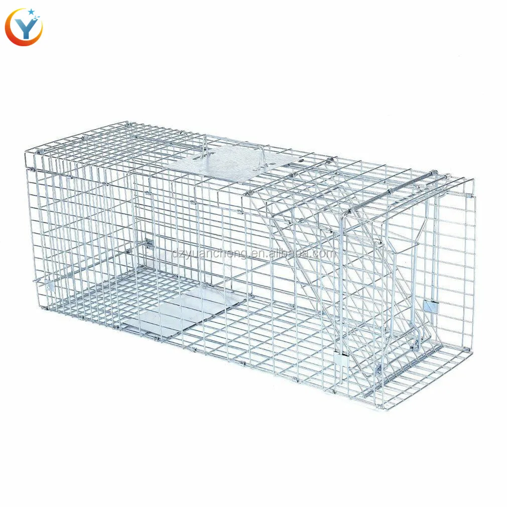 Folding Trap Cage - Live Animal Trap - BirdGard Iberia