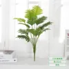 12 jeunes palmiers Areca - Vert - Nouveau produit - Offre spéciale