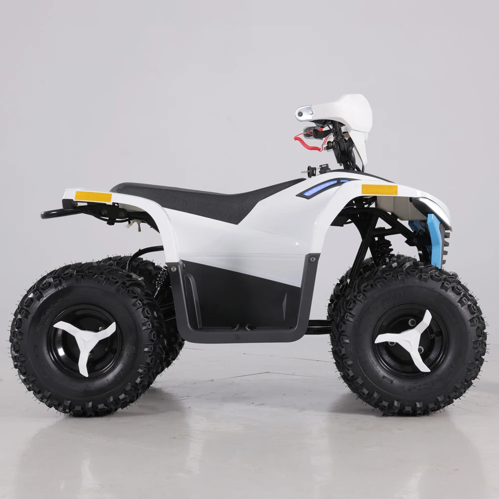 Tao Motor 2023 Latest Design 48v 1600w Teenage Electric Atvs Buy