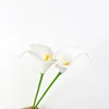 Blanco puro (núcleo amarillo)