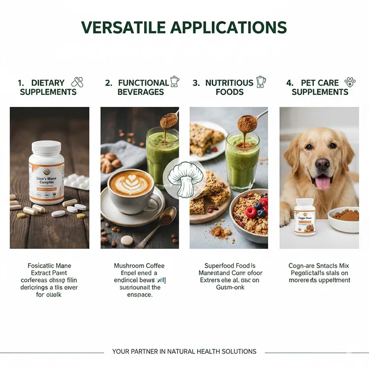 Lion's Mane Applications