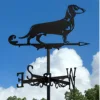 perro salchicha