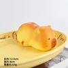 Papi orso