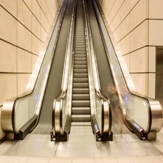 Safe Home Escalator With Fuji Elevators Price Industrial Outdoor Stair Elevator