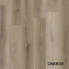 CN8858