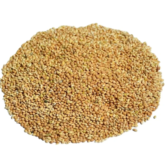 Ukraine Origin Yellow Millet For Birds Food - Buy Yellow Millet,Millet ...