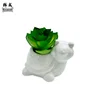 Lumache piccole (Miscela succulenta)