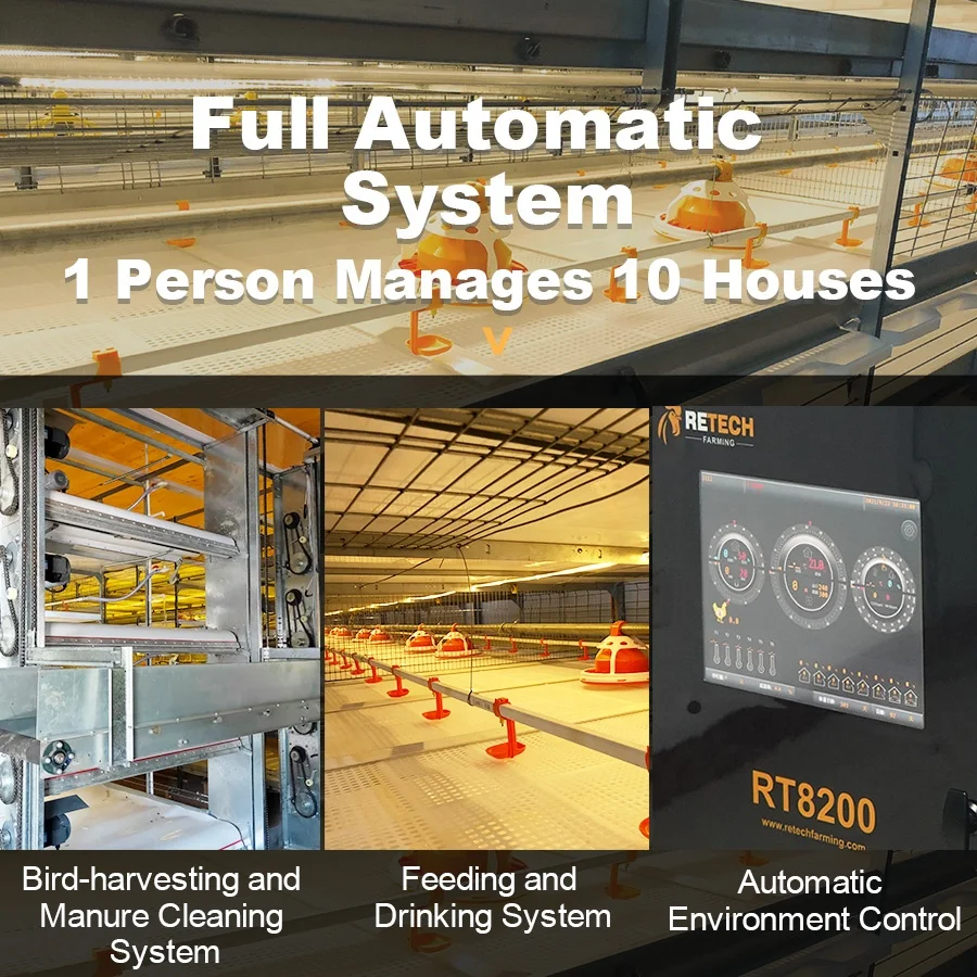Poultry Farm H Type Automatic Bird Harvesting Battery Breeding Cages for Broiler Chicken