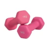 1kg*1