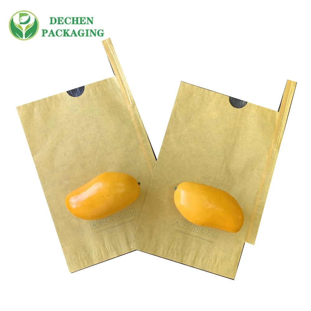 Sac protecteur résistant à l'eau de fruits de culture de pépins de sacs écologiques pour le fruit