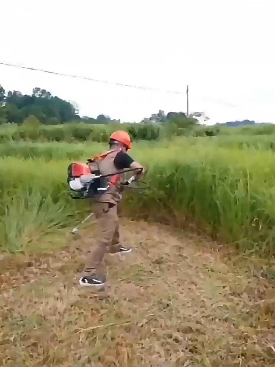 Easy To Use Hand Held Weeding Machine /mini Tiller Cultivator/brush