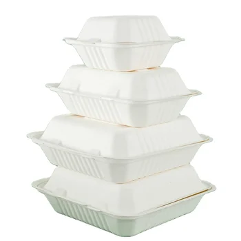 Sugarcane Container with division TakeOut disposable Food Containers fast food box for packaging with compartment