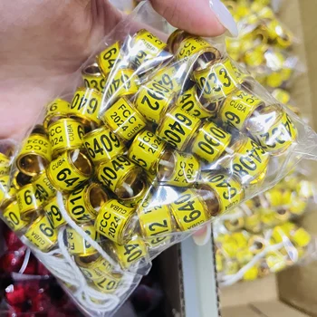 Produktbild von 50 Taubenbeinringe 2025 – 8 Mm Innendurchmesser, Farbig, Langlebig, Für Brieftauben, Papageien, Küken & Enten