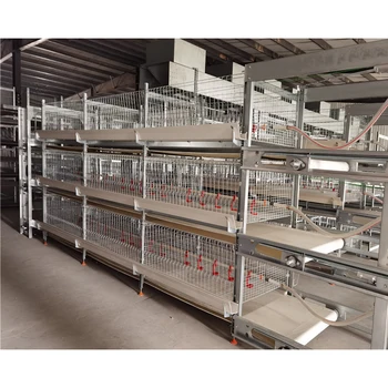 H Type 3 Tier Broiler Chicken Cage Automatic Poultry Electric Broiler Chicken Cage Battery Cages for Poultry Chicken