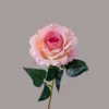 Rose Pink