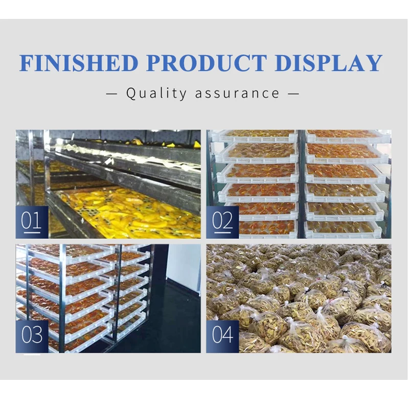 TCA Industrial Loop Heat Pump Tray Fish Food Pasta Dryer Meat Fruit Drying Machine